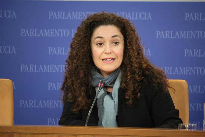 La portavoz adjunta de IULV-CA Inmaculada Nieto en rueda de prensa