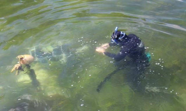 Investigación en aguas de un estuario