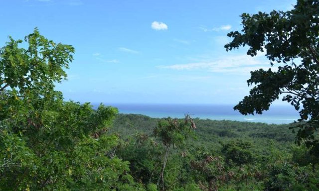 Reserva de la Biosfera Guanica, Puerto Rico.