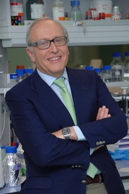 El profesor Luis Fernández-Vega.