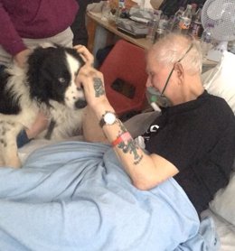 Enfermo con firbosis pulmonar ve por última vez a su perro
