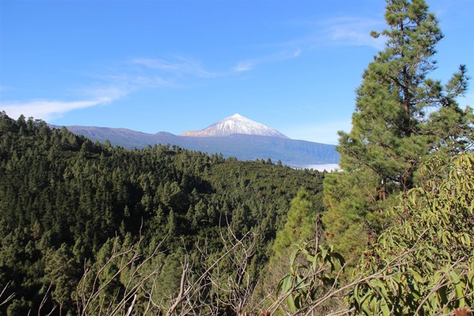 Àrea recreativa de les Lagunetas, a Canàries