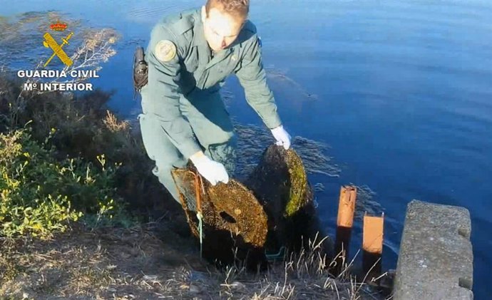 Remitiendo Np " La Guardia Civil Relaciona A Tres Personas Por La Captura De Ang