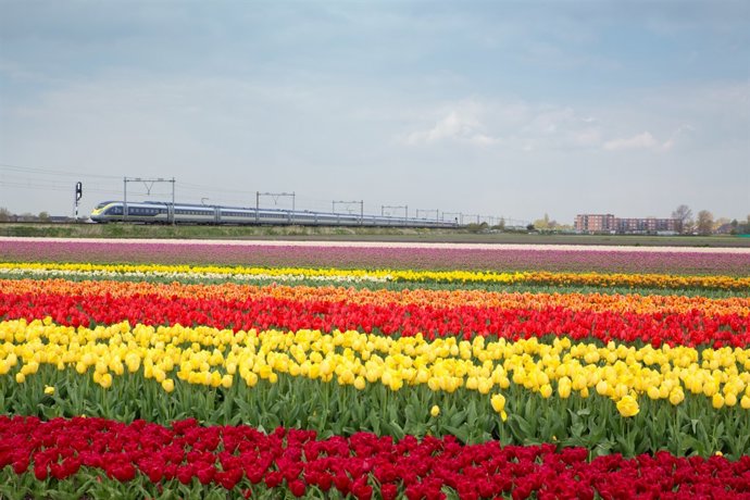 Eurostar lanza el primer tren directo entre Londres y Amsterdam