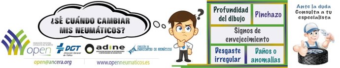 Infografía estudio neumático