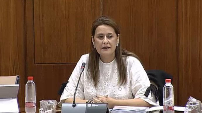 La consejera de Educación en comisión parlamentaria