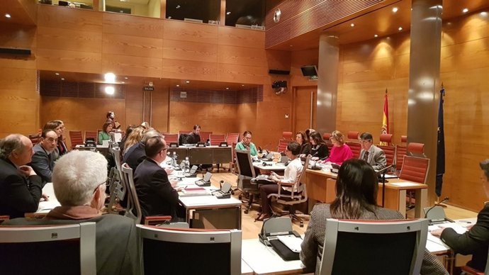 Comparecencia de Mónica Oltra en la comisión de investigación del Senado