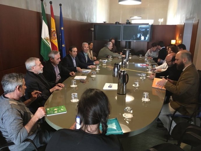 El consejero de Cultura se reúne con el sector de la artes escénicas andaluz