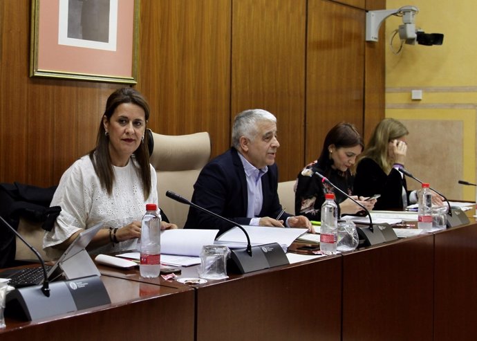 Sonia Gaya en la Comisión de Educación