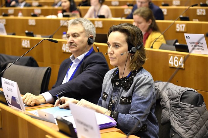 Gamarra, en el pleno del CdR