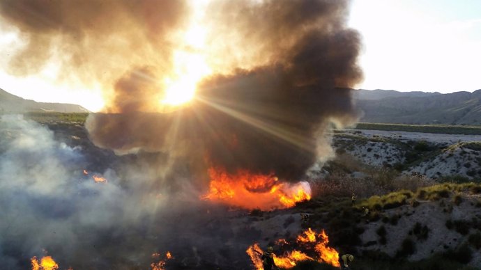 Imagen del lugar del incendio en Ojós