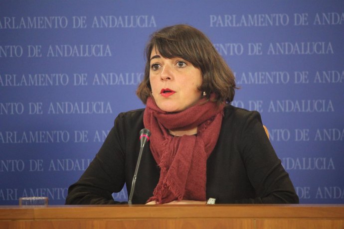 La parlamentaria de IULV-CA Elena Cortés