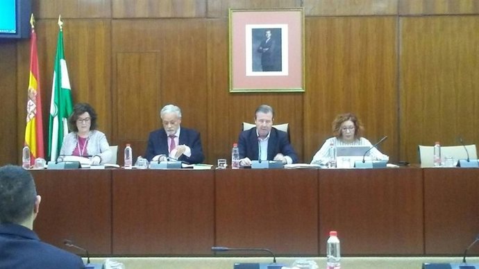 El Defensor lleva al Parlamento su informe sobre muerte digna