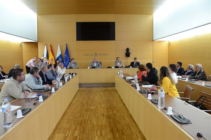 Pleno del Consorcio de Tributos