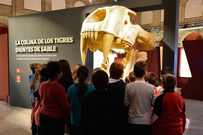 Nota Y Foto: El Museo Arqueológico Regional Organiza Talleres Infantiles Sobre L