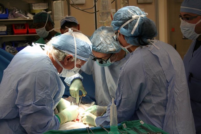 Sanitarios durante una intervención para realizar un transplante 