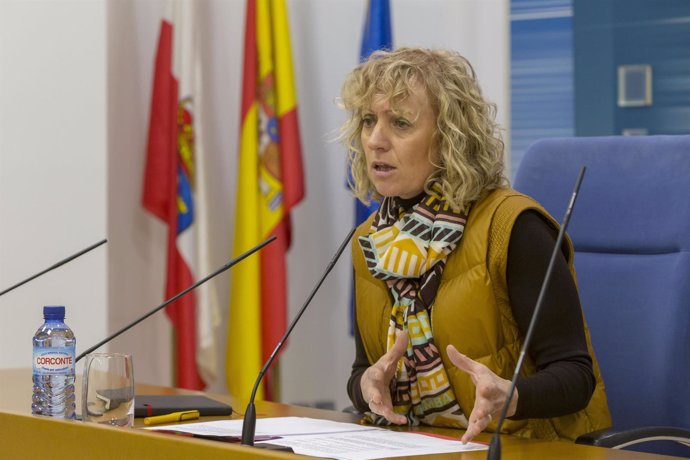 Rueda de prensa de la vicepresidenta, Eva Díaz Tezanos, en el Gobierno
