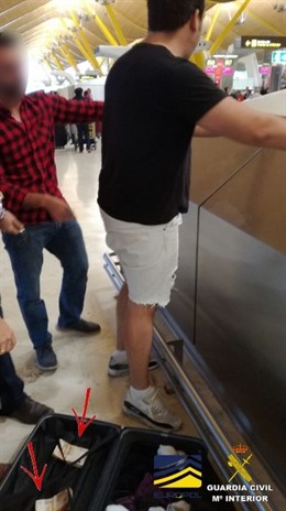 Detenido un hombre en la operacion 'Tulipán Blanca'