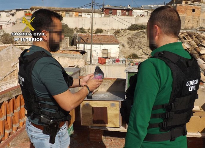 Guardia Civil detiene a cinco jóvenes por robar más de medio centenar de palomos