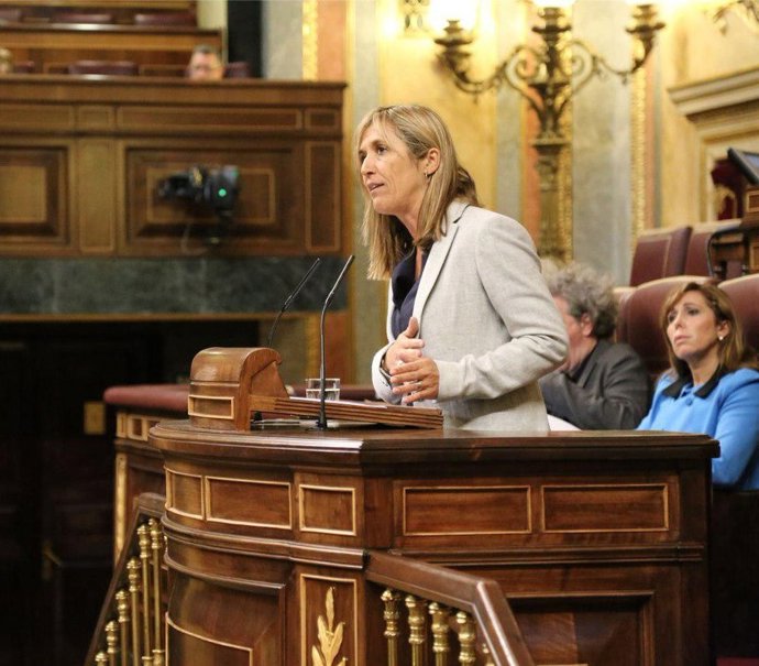 Teresa Palmer, diputada del PP