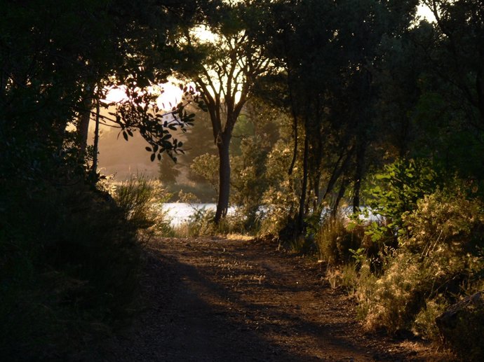 Camino de las Hazadillas en el Parque Natural de las Lagunas de Ruidera
