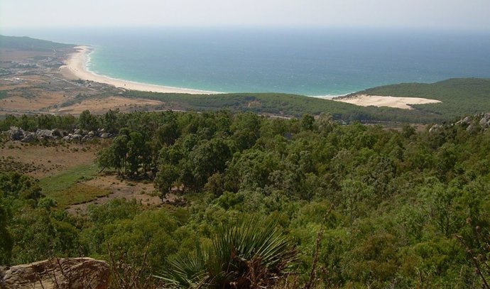 Imagen del Parque Natural del Estrecho