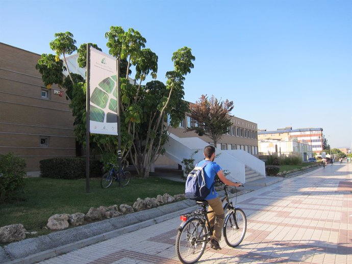 UMA, Universidad, Facultad, Andalucía Tech, universitario