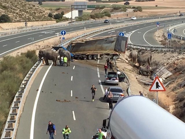 Elefantes accidentados en la A-30