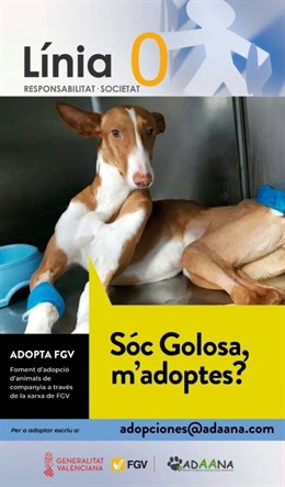 Una de las imágenes de la campaña