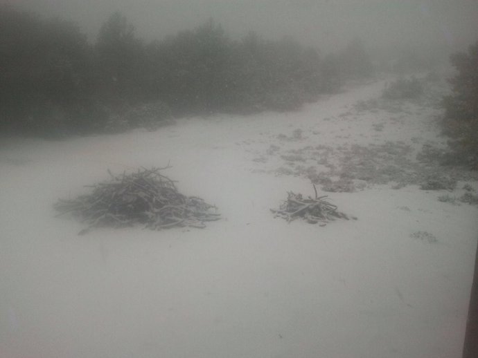 Imagen de la nevada primaveral que ha compartido la empresa pública