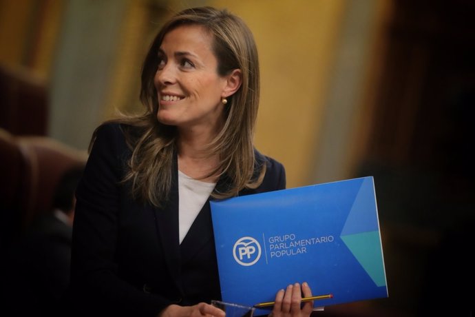 La diputada del PP Carmen Navarro en el Congreso