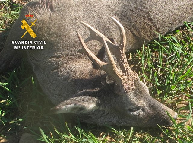 Nota De Prensa. Guardia Civil Burgos