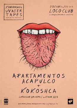 Cartel del concierto en Valencia por Kokoshca