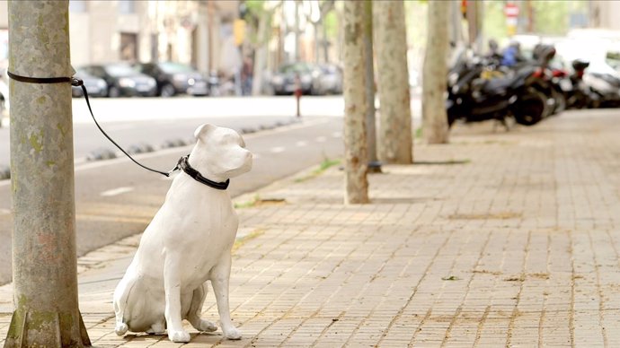 Figura de un perro abandonado de la campaña del Ayuntamiento de Barcelona