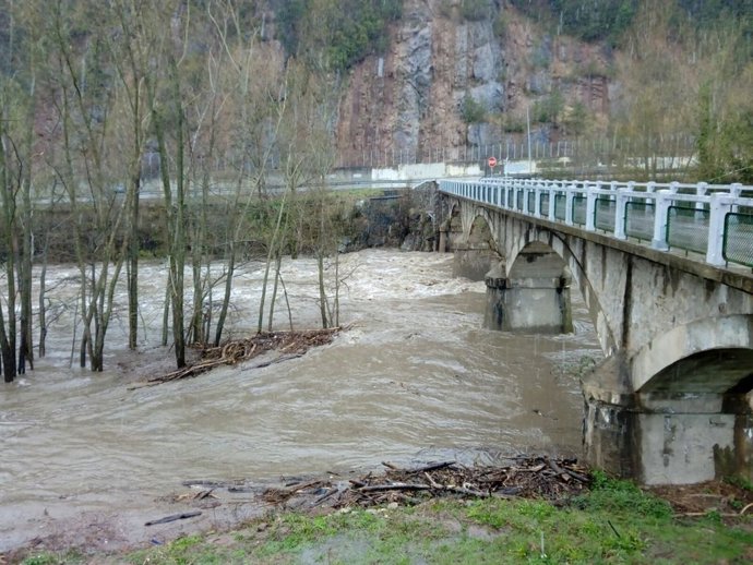 El riu Ter al seu pas per Ripoll