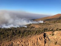 Alonso plantea una cumbre entre cabildos y Gobierno para fijar los medios aéreos necesarios en la lucha contra incendios