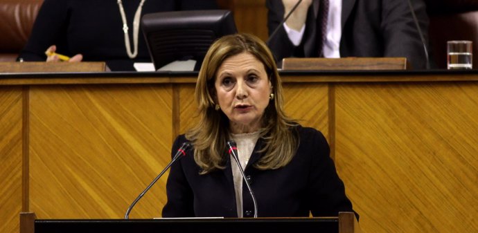 La consejera de Salud, Marina Álvarez, en el Pleno del Parlamento