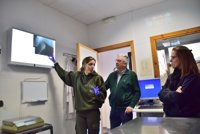 Evoluciona favorablemente el lince que llegó con una fractura al CREA El Blanqueo