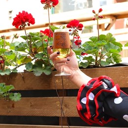 Catavino personalizado del set 'Nos vemos en Los Arcos de la feria'