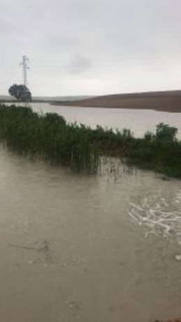 Pantano Torre del Agua de Utrera