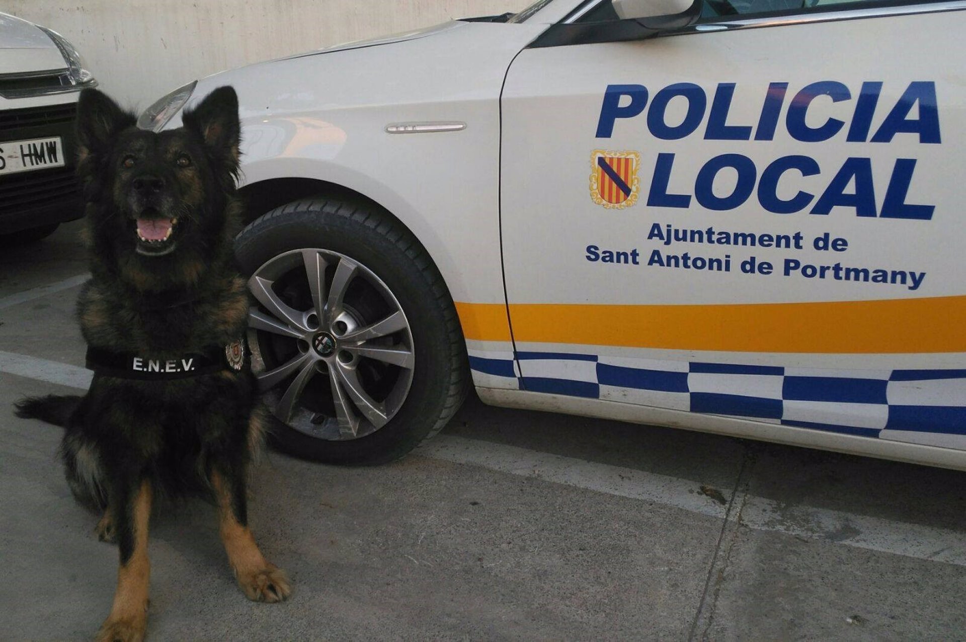 Fallece la agente canina de la Policía Local de Sant Antoni 
