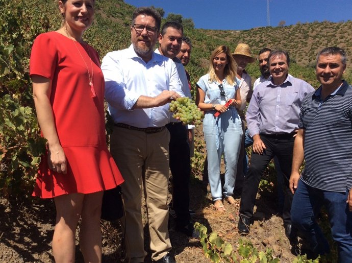 Nota De Prensa Agricultura (Uva Pasa)