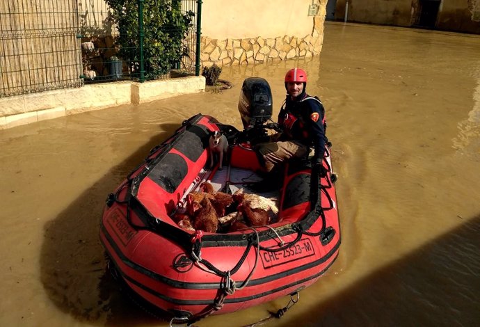 Bomberos rescatan animales de granjas afectadas por la crecida del Ebro.