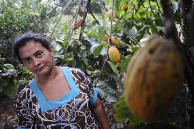 Foto de archivo de una agricultura junto a una plantación de cacao.