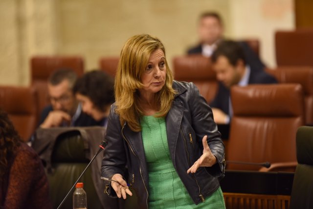 La consejera de Salud, Marina Álvarez, en el Parlamento.