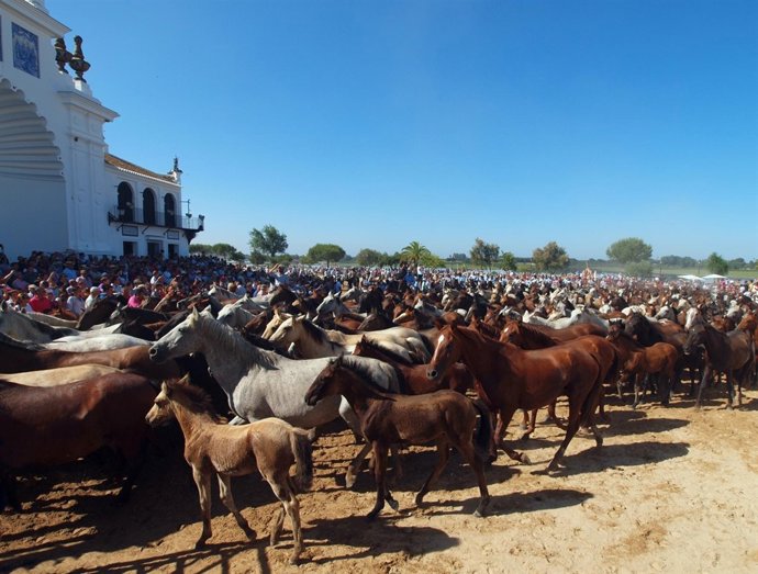 Saca de las yeguas en El Rocío