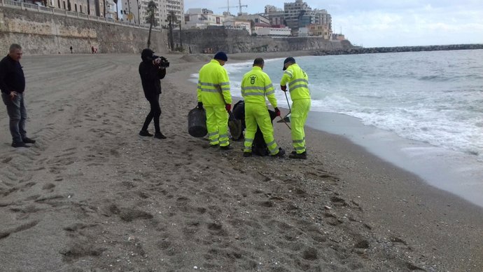 Retirada de medusas en Ceuta