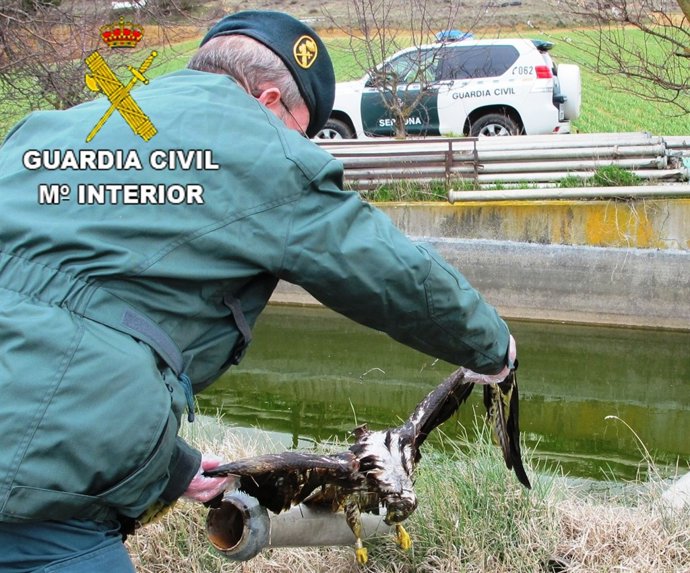 Milano real recuperado por la Guardia Civil. 