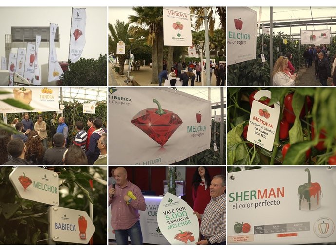 Portavoz gana dos oros en los Premios Letra