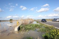 El Ebro inunda más de 3.000 hectáreas de huerta en Fuentes y Osera